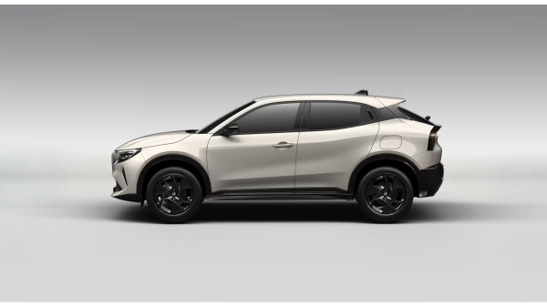 Junior-Ibrida-Avorio