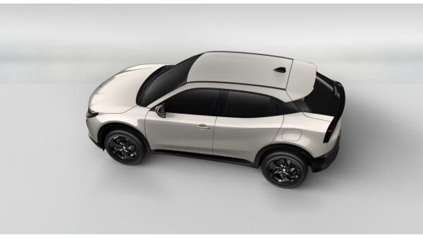 Junior-Ibrida-Avorio