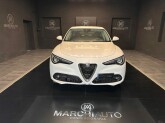 Stelvio 2.2 Turbodiesel 190 CV AT8 Q4 Business - Immagine 1