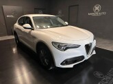 Stelvio 2.2 Turbodiesel 190 CV AT8 Q4 Business - Immagine 2