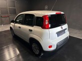 Panda (Prezzo Iva Escl.) 1.0 Hybrid Van 2 posti - Immagine 6