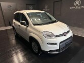 Panda (Prezzo Iva Escl.) 1.0 Hybrid Van 2 posti - Immagine 2