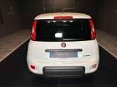 Panda (Prezzo Iva Escl.) 1.0 Hybrid Van 2 posti - Immagine 5