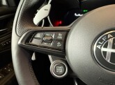 Stelvio 2.2 Turbodiesel 210 CV AT8 Q4 Veloce - Immagine 15