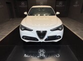 Stelvio 2.2 Turbodiesel 160 CV AT8 RWD Super Business - Immagine 1
