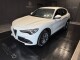 Stelvio 2.2 Turbodiesel 160 CV AT8 RWD Super Business - Immagine 0