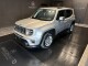 Renegade 1.0 T3 Limited - Immagine 0